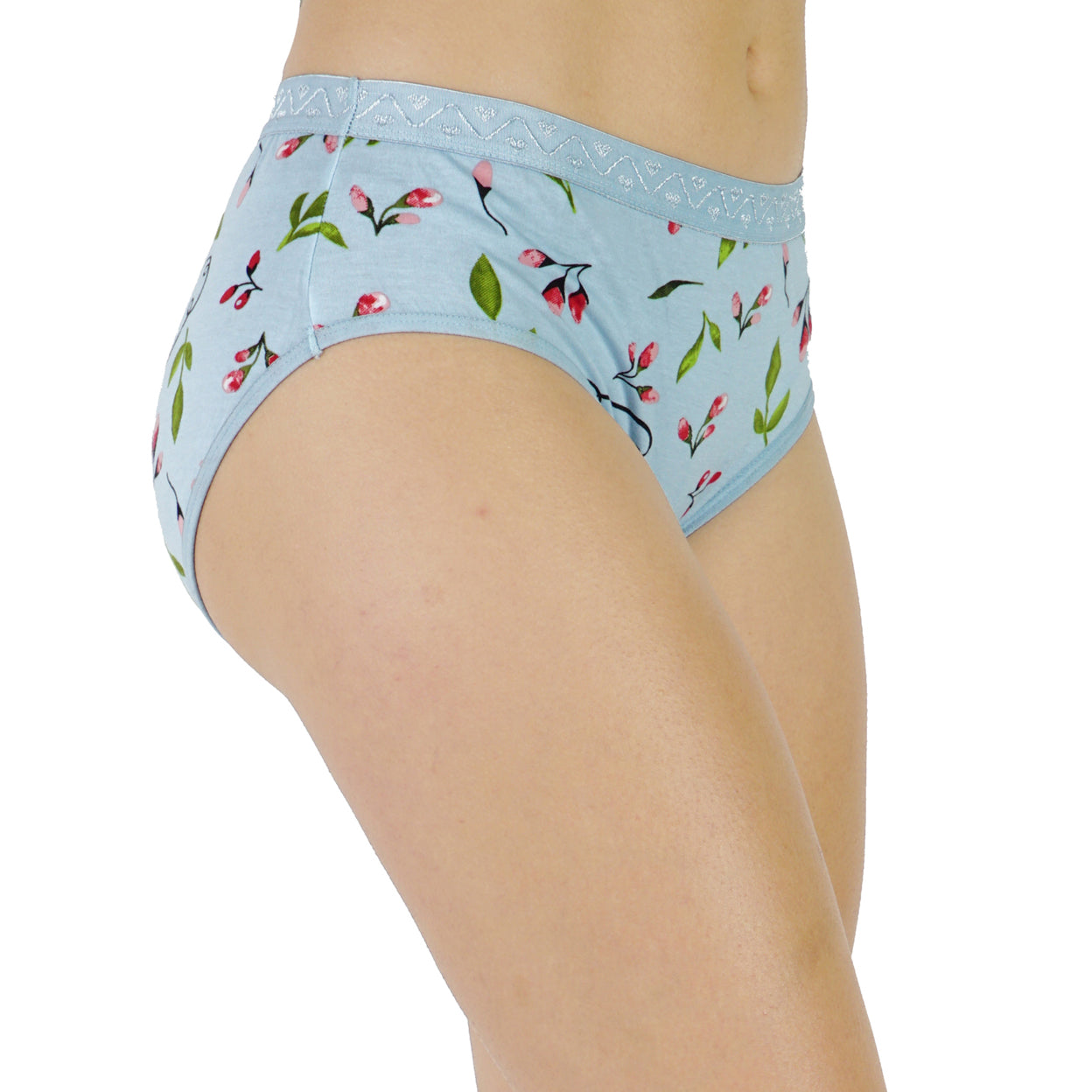 Women Full Coverage Printed Hipster Panty 12 Pcs Pack
