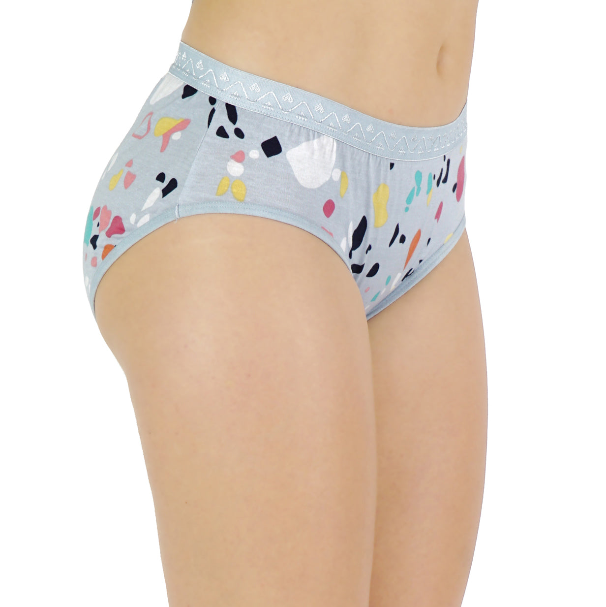 Women Full Coverage Printed Hipster Panty 12 Pcs Pack