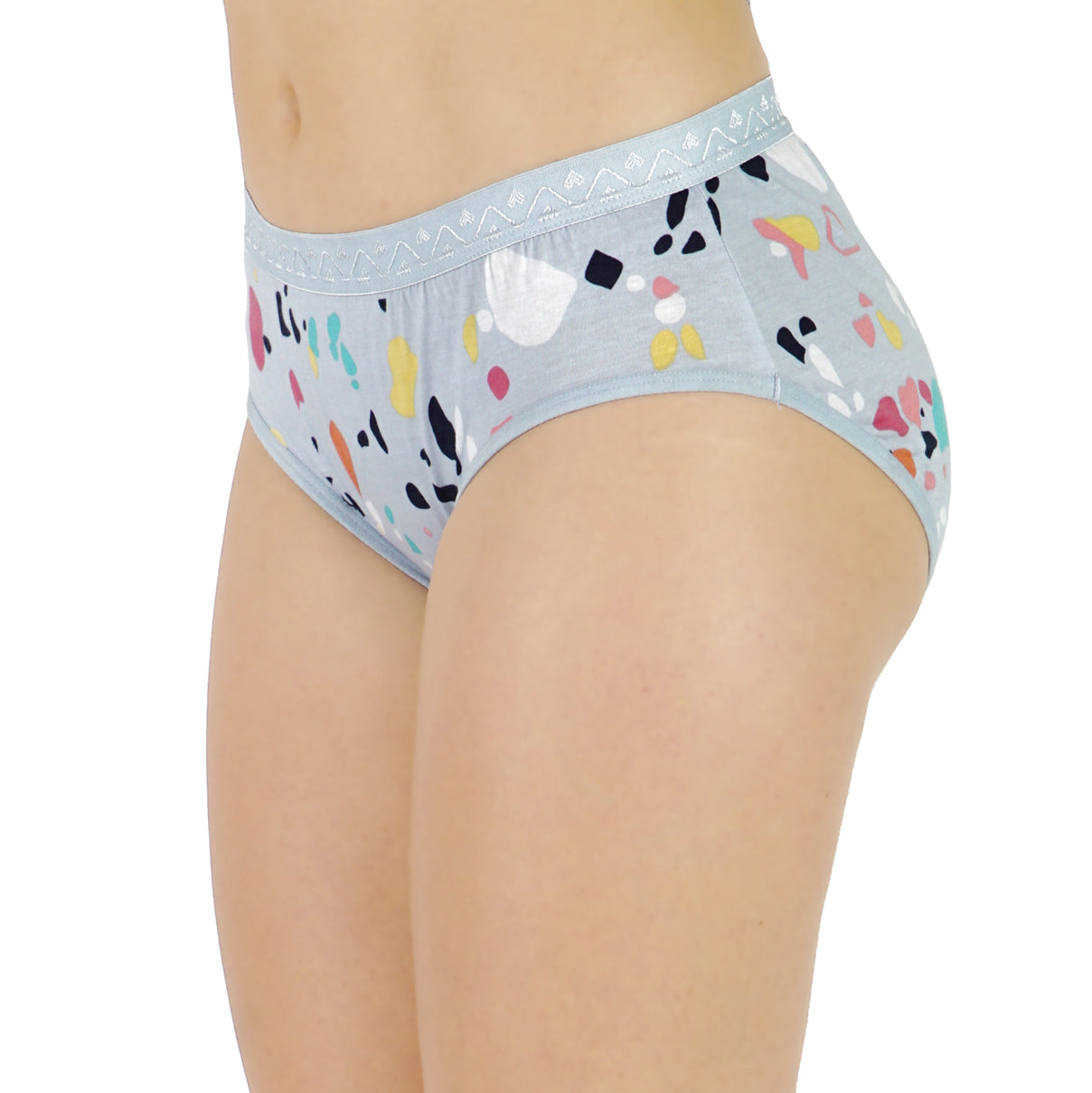 Women Full Coverage Printed Hipster Panty 12 Pcs Pack