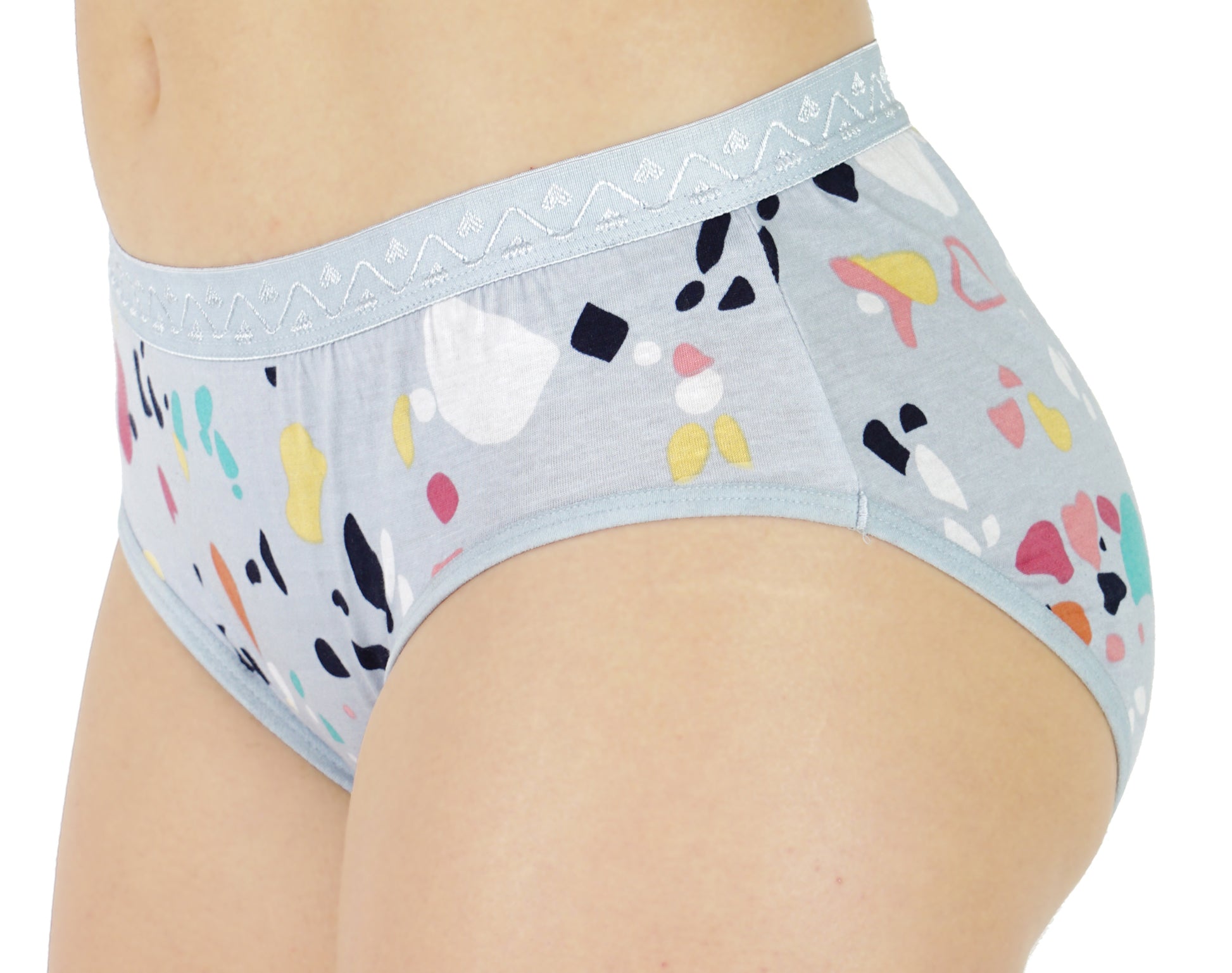 Women Full Coverage Printed Hipster Panty 12 Pcs Pack