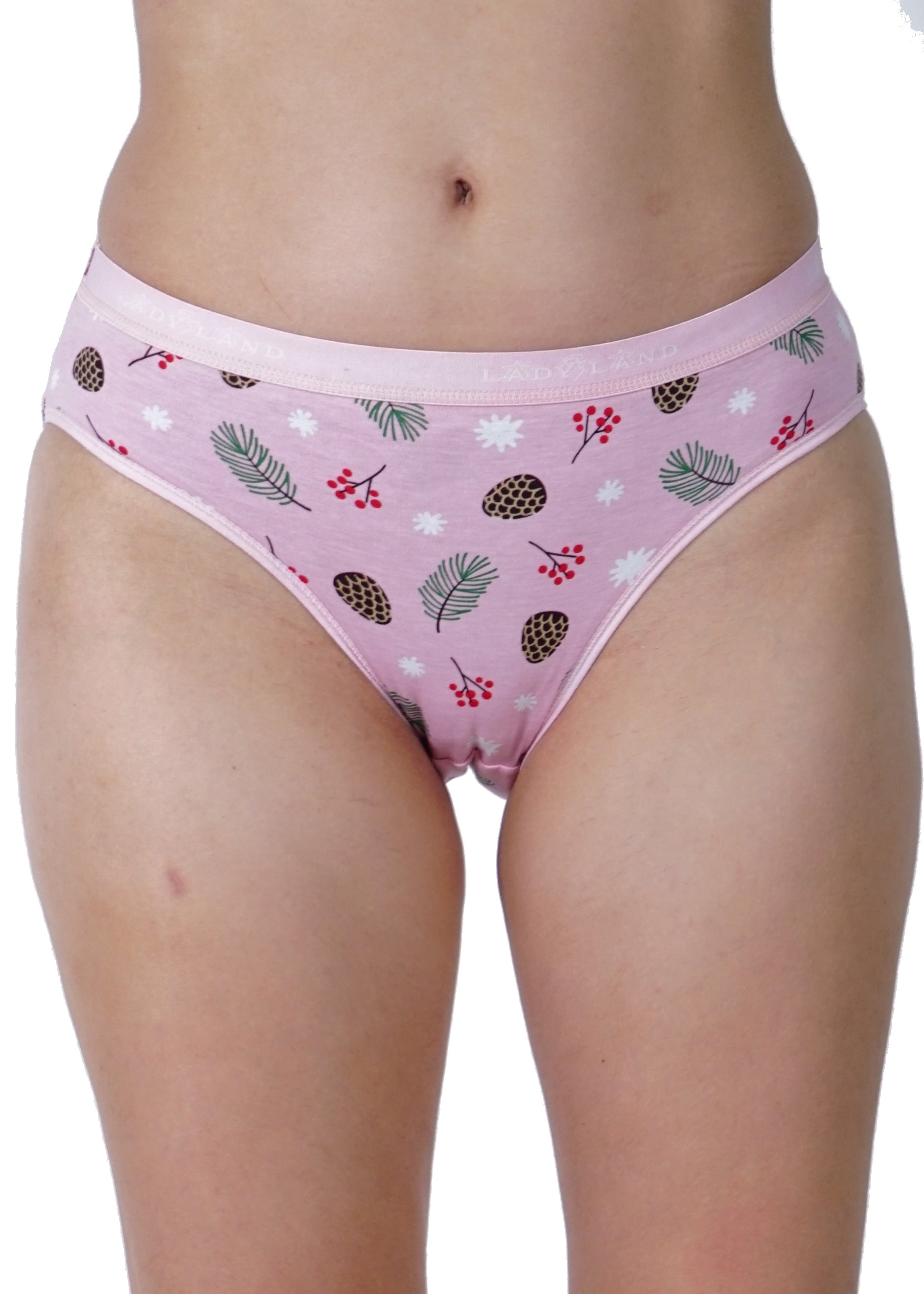 Women Full Coverage Hipster Panty 12 Pcs Pack