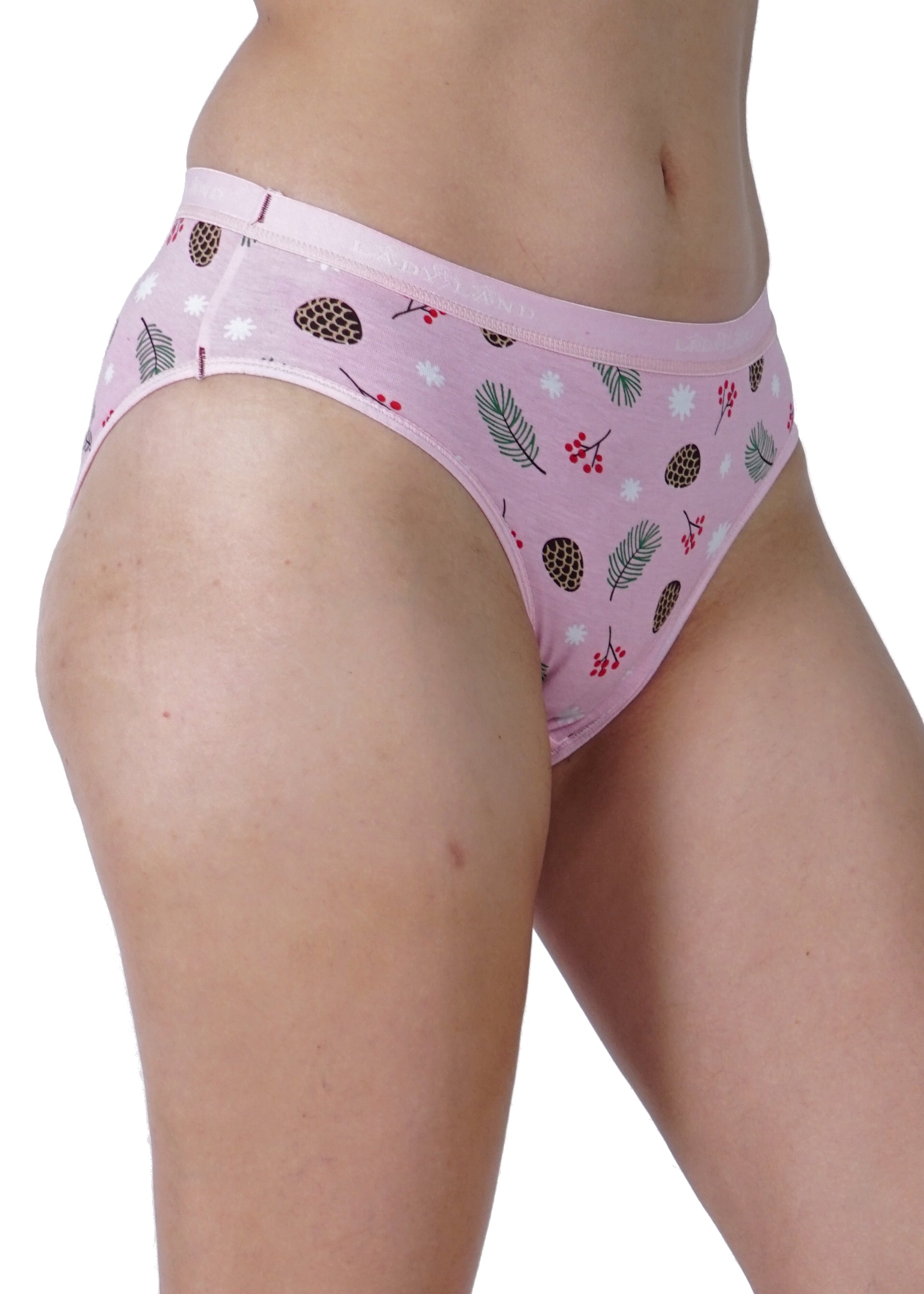 Women Full Coverage Hipster Panty 12 Pcs Pack