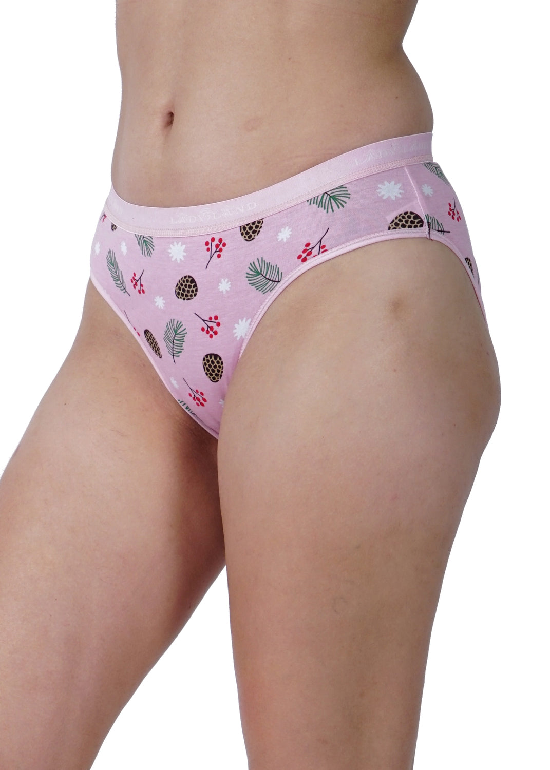 Women Full Coverage Hipster Panty 12 Pcs Pack