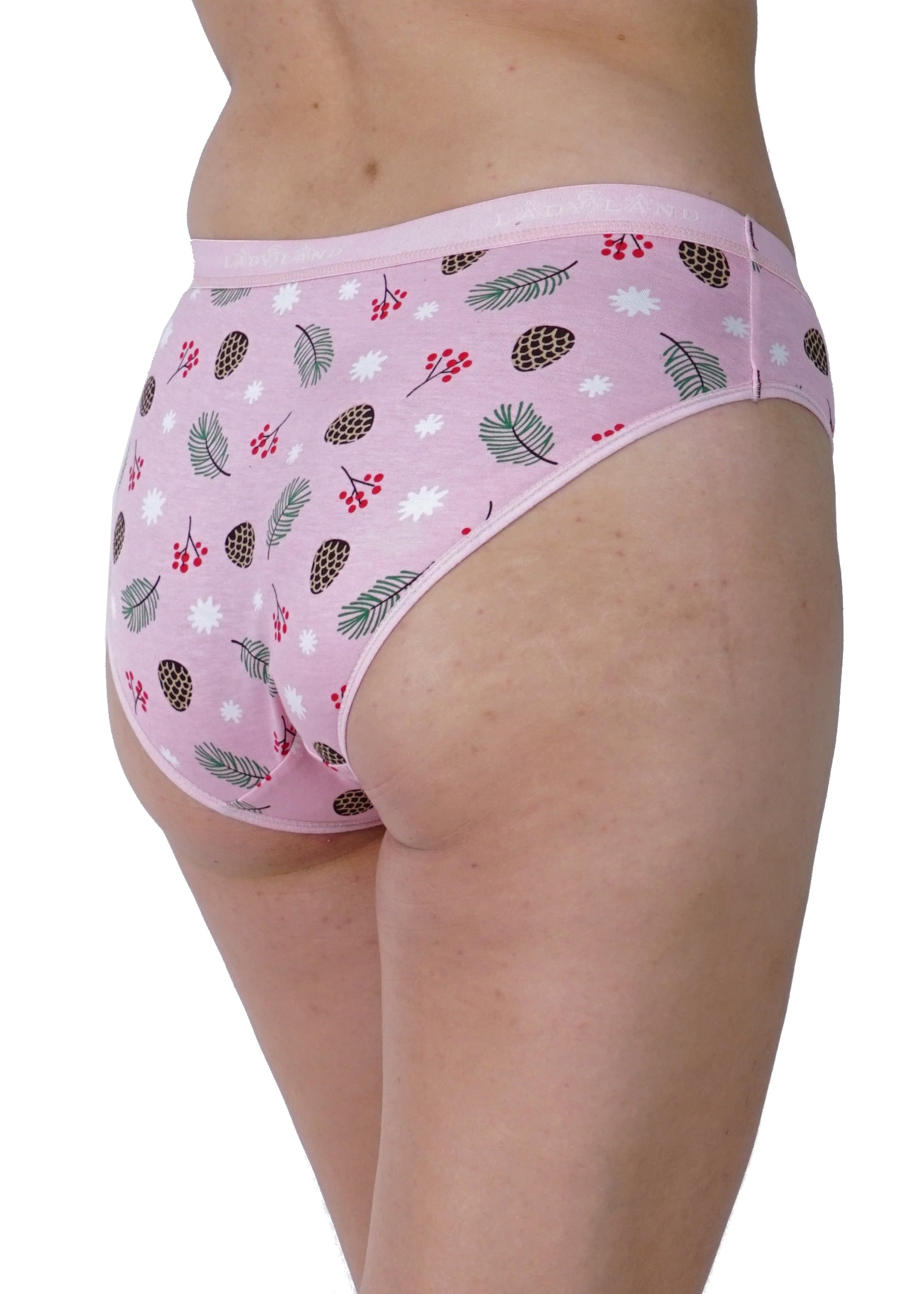 Women Full Coverage Hipster Panty 12 Pcs Pack