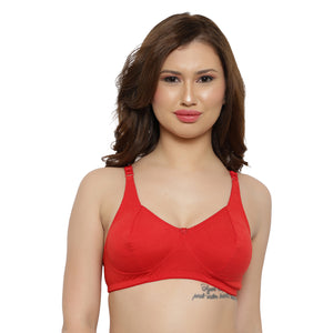 Full Coverage Bra Assorted Colour 6 Pcs Pack