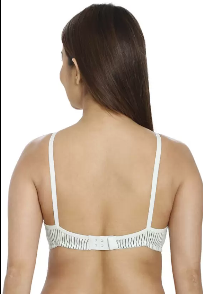 Printed Seamless Bra Assorted Colour 6 Pcs Pack