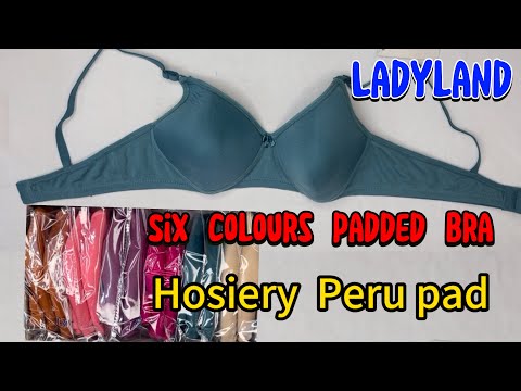 Light Padded Bra Seamless Assorted Colour 6 Pcs Pack